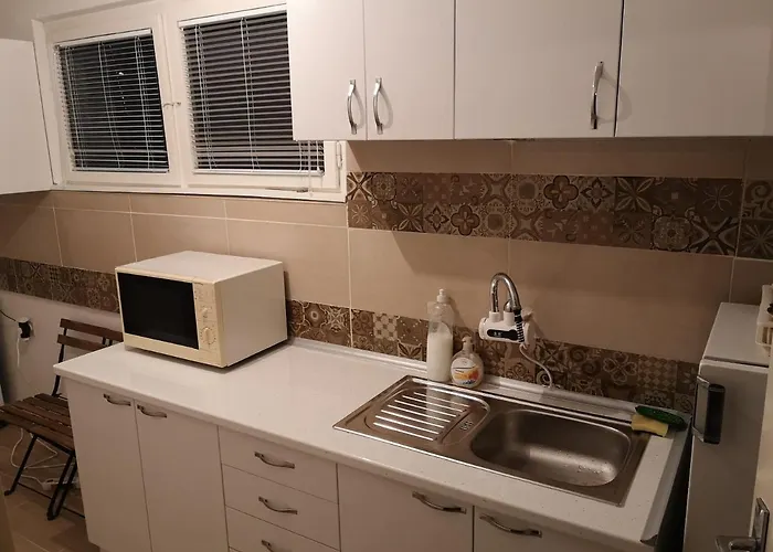 Guest house White Night *